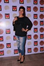 Mink Brar at the Brew Fest in Mumbai on 23rd Jan 2015